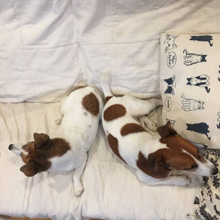 Ab683897 387a 435e acd9 e5bad09e5127