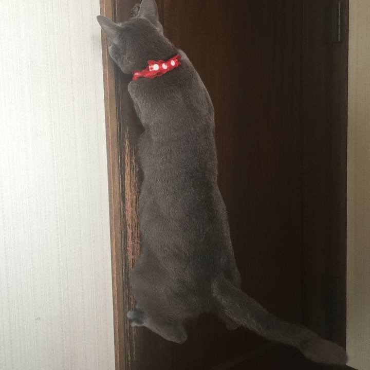 Ab689b4f 399a 4c5c b475 68e0530d4ed7