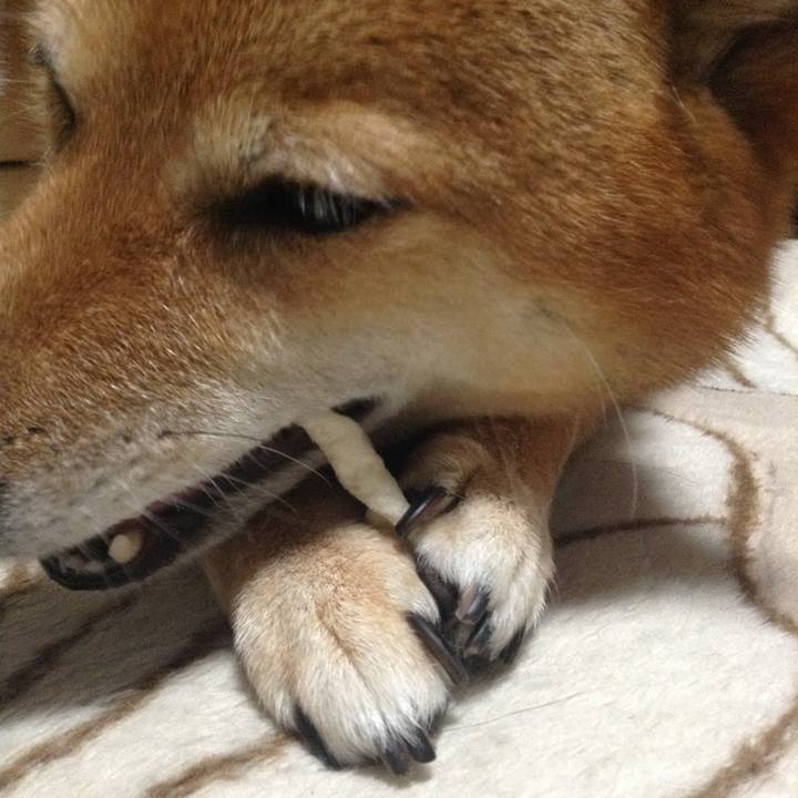 Ab68dffe be16 4ccf 9e4e 7704e4120484