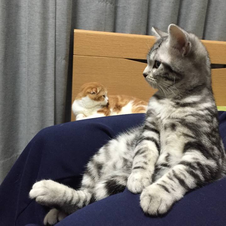 Ab694b24 ef48 43b4 8470 3e810ac04e8c