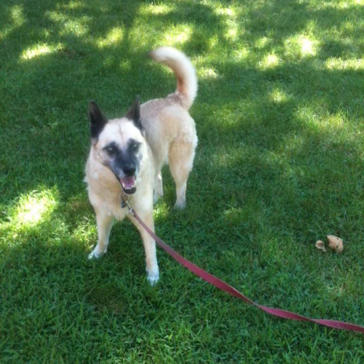 Ab69f68b f9dc 45d2 9e4c 72b0f77450ca