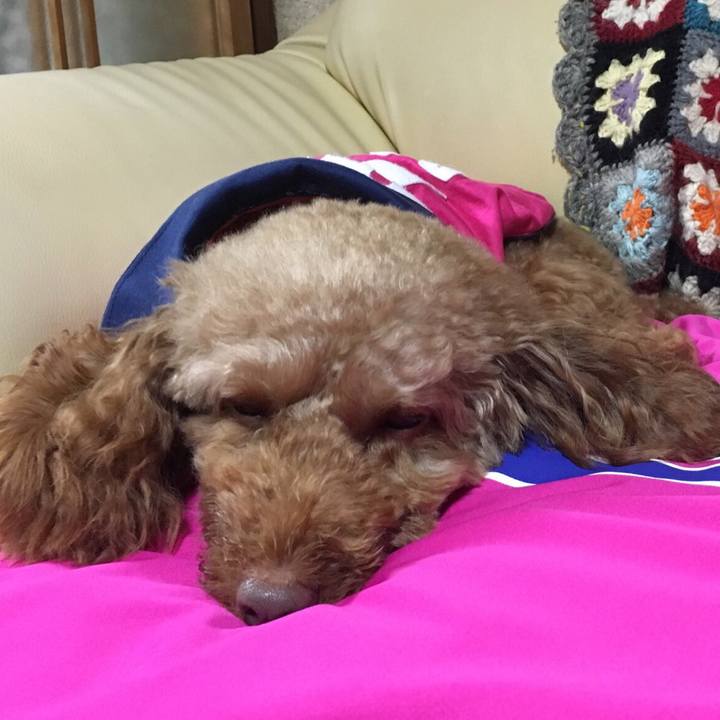 Ab6a15a6 d89d 492d ac4c 1d3c42a930df