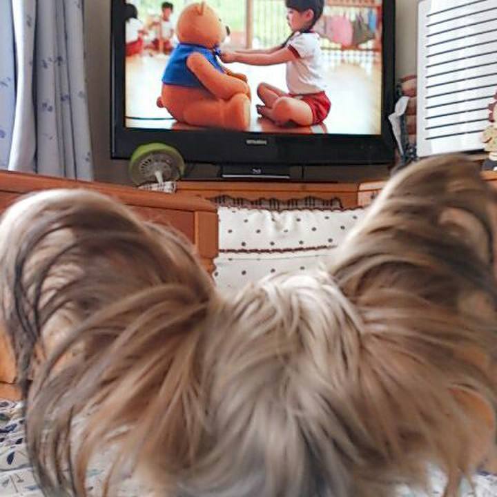 Ab6a46ed 8bdd 4d86 aee9 5523b6f6c4d1