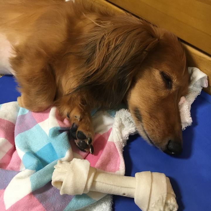 Ab6af49e 435c 4fcb 84e7 c1fe9b9402df