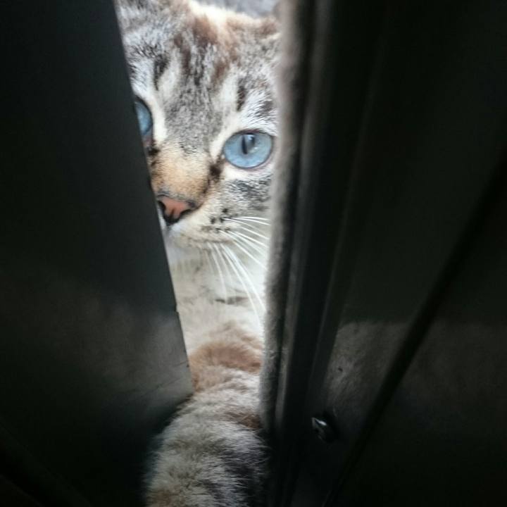 Ab6b1554 f695 490e be7b 281dfe76b435