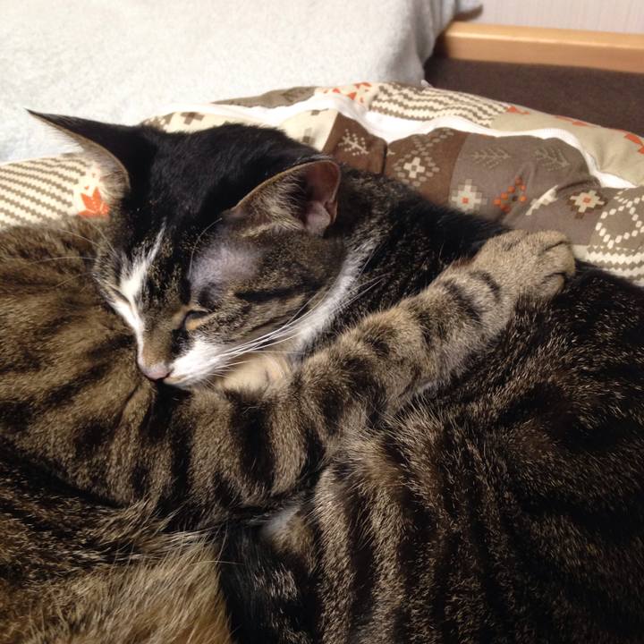 Ab6b1ee2 a1dc 47f8 b657 957cb7894974