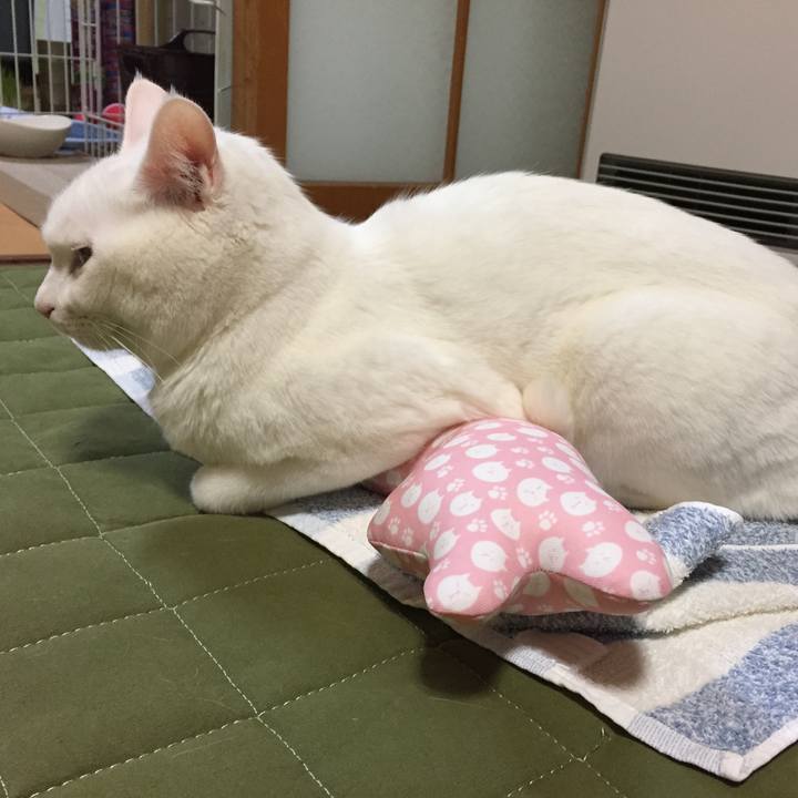 Ab6b7632 1990 4f2a af30 3871390bcc08