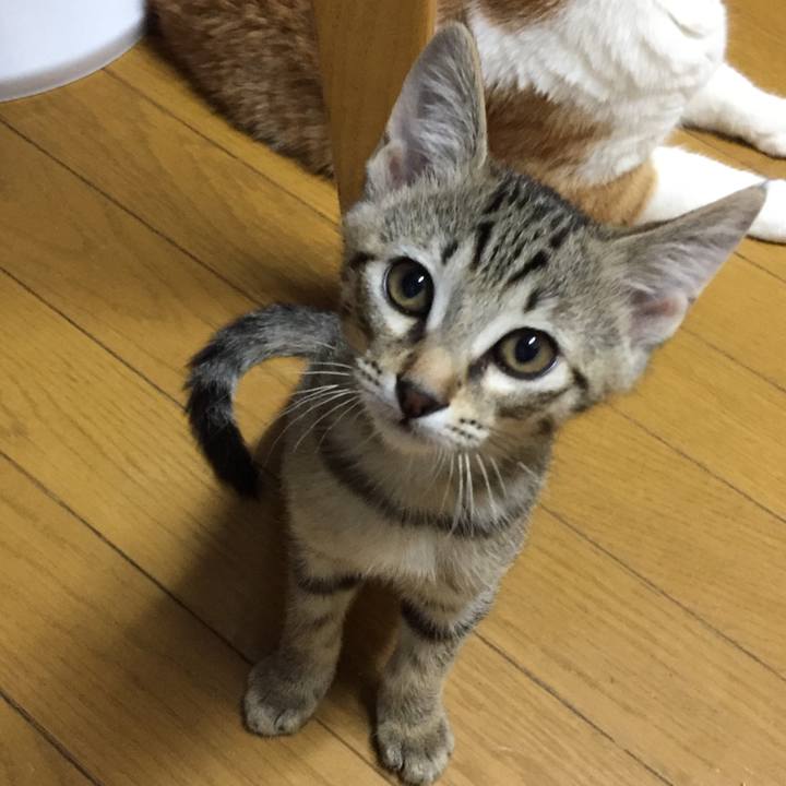 Ab6b7977 d86a 4d0c 973b 3df8950c6b96