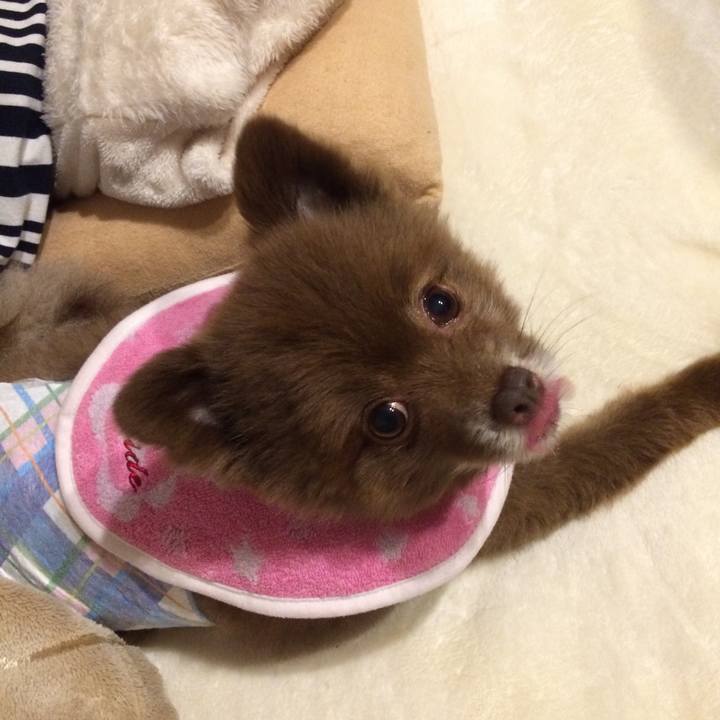 Ab6b95f4 9662 4724 9a28 0017879f0e05