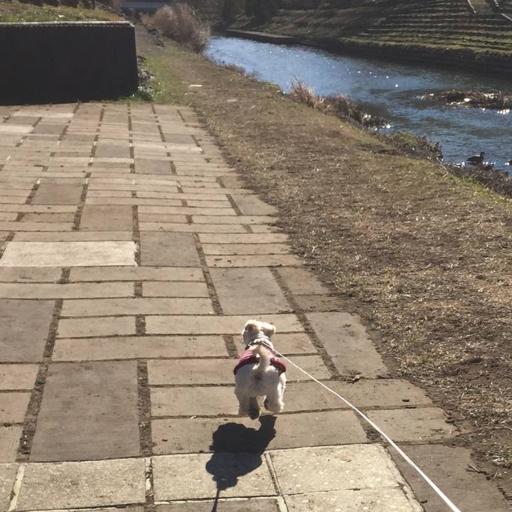 Ab6bc6db 1db2 4e13 89cd 2f5a78599cf1