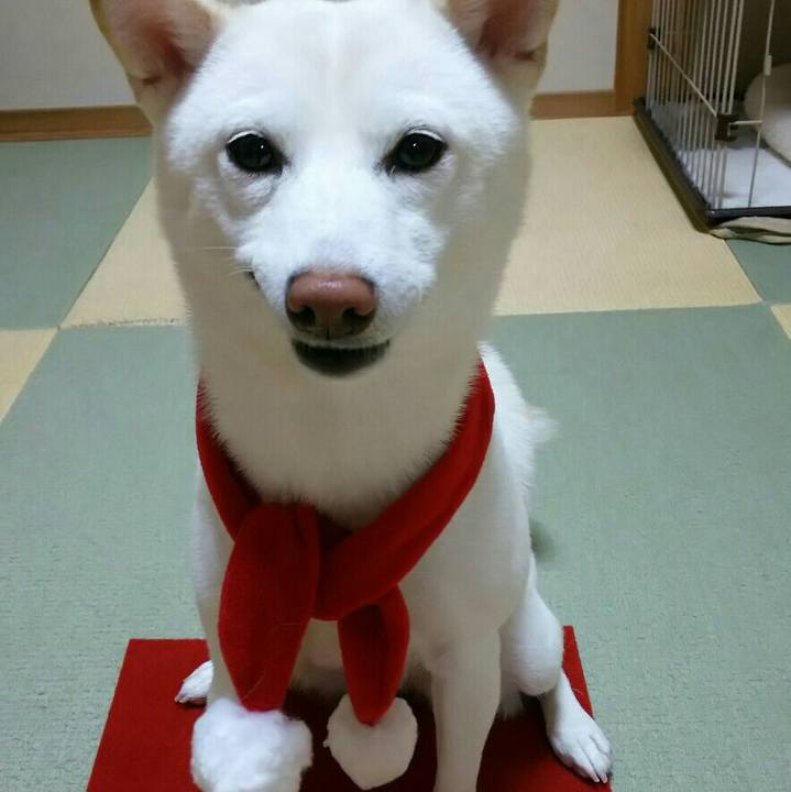 Ab6c6194 3ae3 4ffe bb55 3bad21e5f821