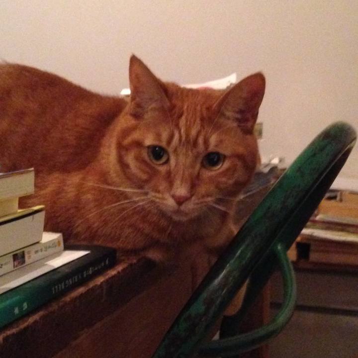 Ab6ce404 20e8 49ae 96cb 894a48467a64