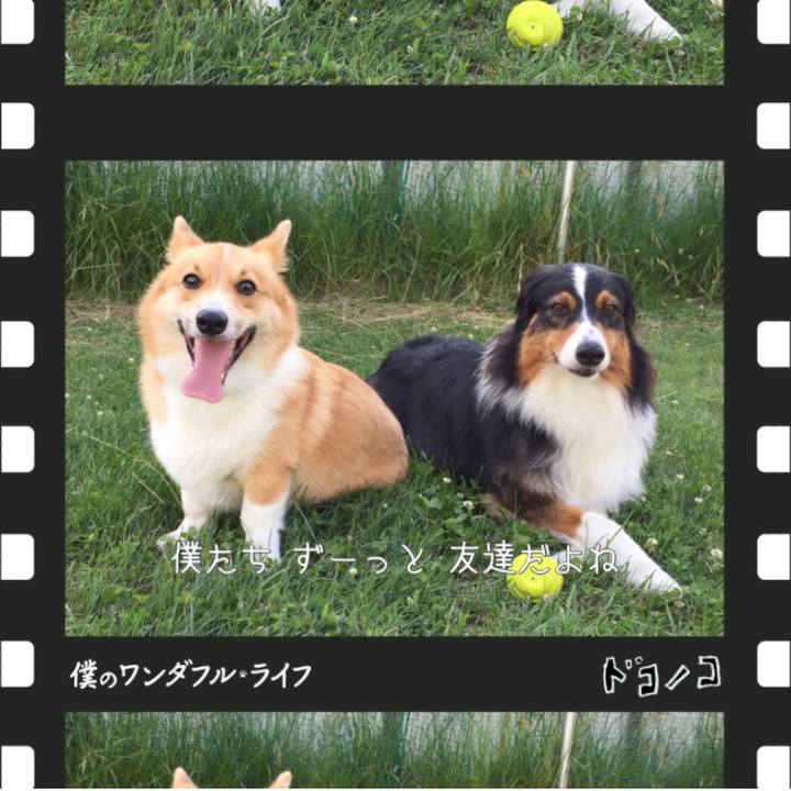Ab6d1199 2d41 4869 ba9d 009cd7ec8a4e
