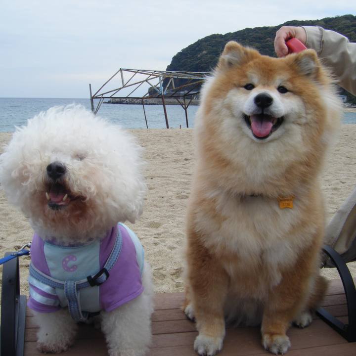 Ab6dafa7 40a7 4c25 9f6b f4f35dfb292d