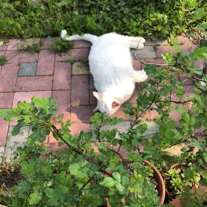 Ab6e0e59 f778 4156 b28d b59da9f277df