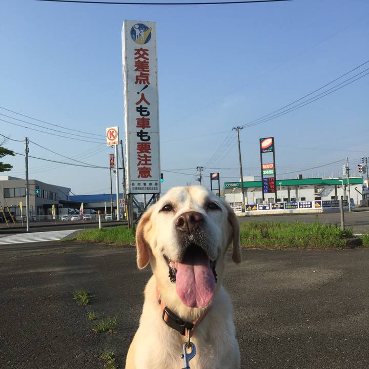 Ab6e1c7e 645d 4840 a4e3 3b5d5b3d8455