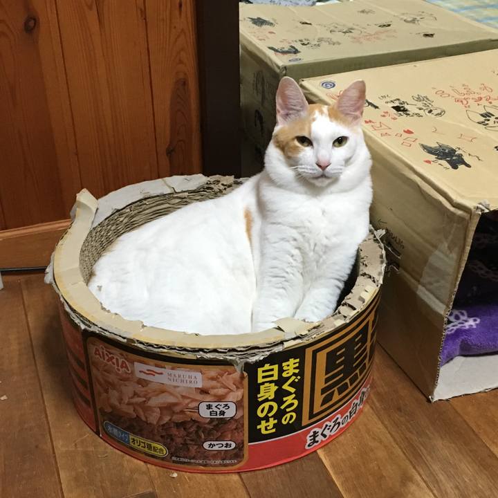 Ab6e4098 1763 4c0b 9da8 8e2a78888360