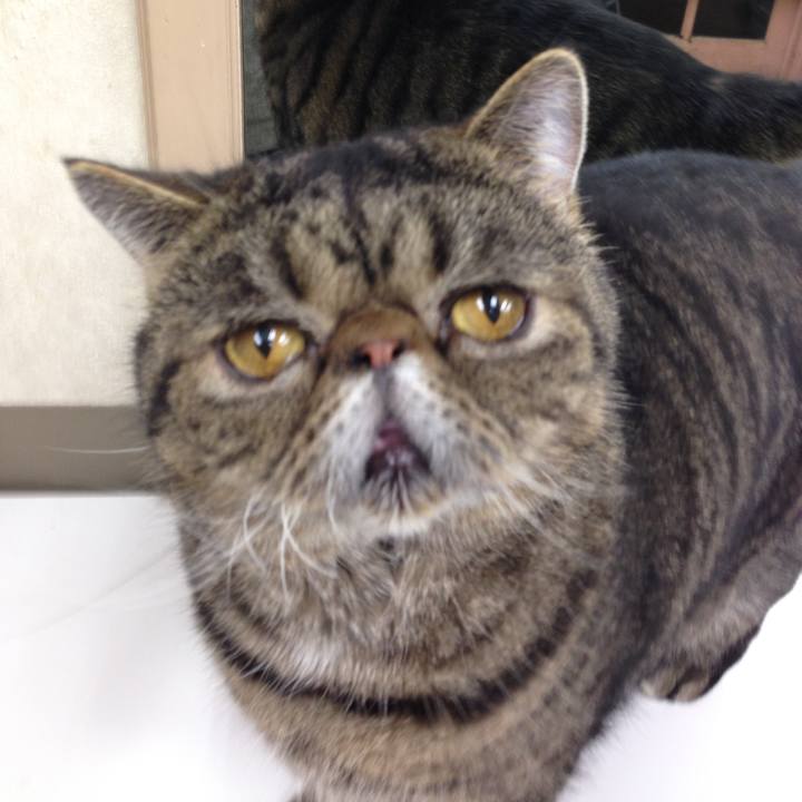 Ab6e582c 23e5 4e40 811f c8a3cc583787