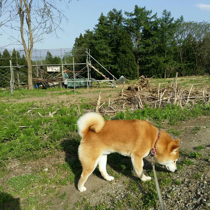 Ab6e8bfd a2ed 4115 b525 1afd720fd7de