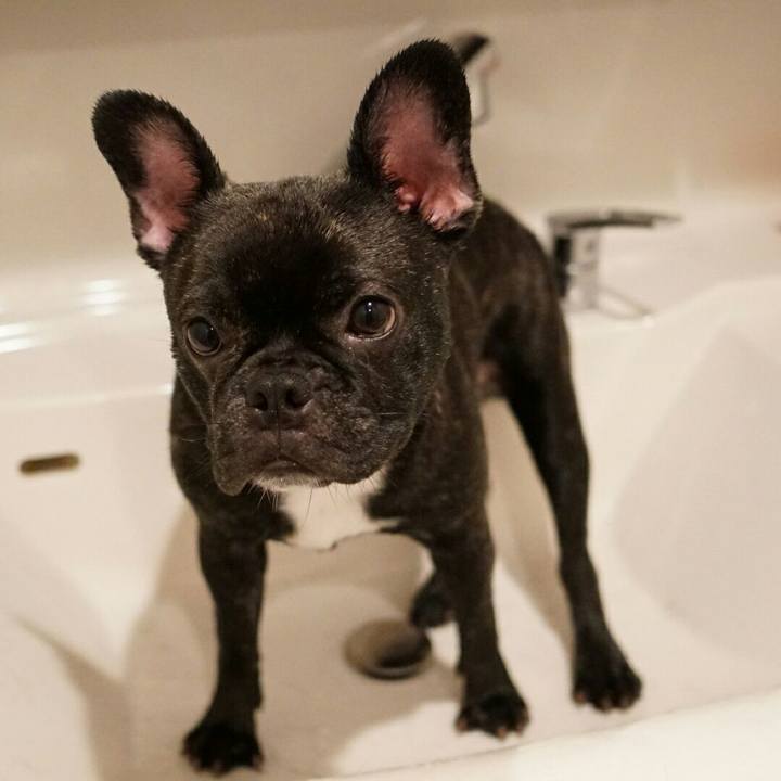 Ab6ef644 4c8d 4ec1 8084 847a7744b20f