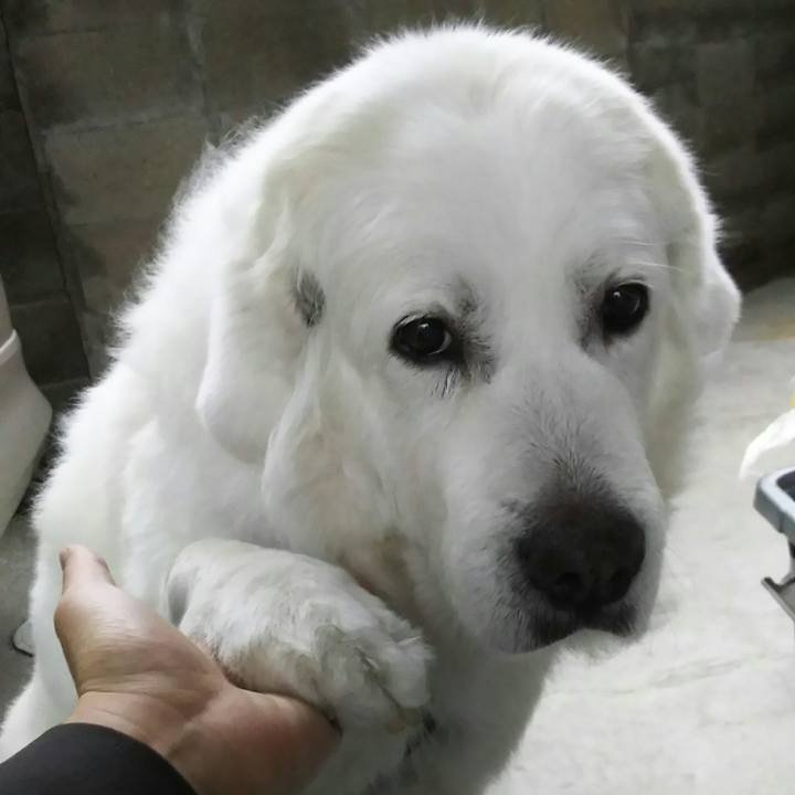 Ab6f2f53 114c 43ae 8973 ecf50a175fcd