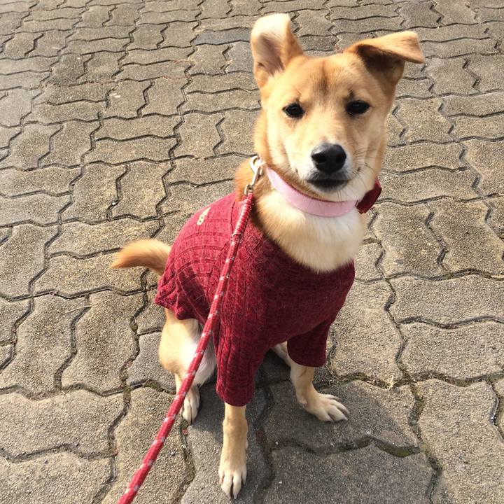 Ab6f57a8 1ac3 428a b911 360c63c5ada7