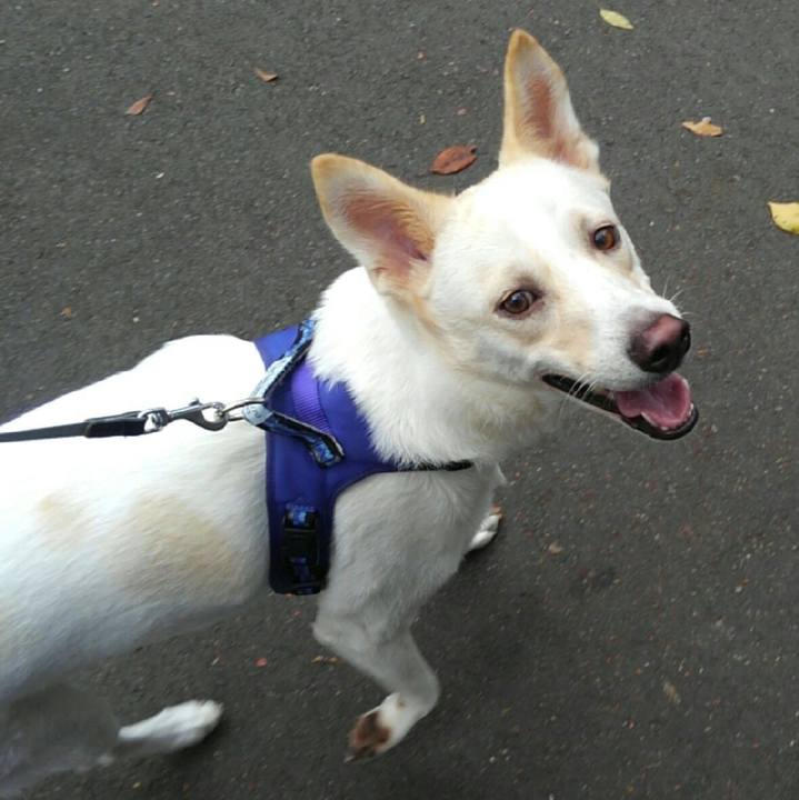 Ab701d74 f528 44a1 8e88 27c578c08ce7