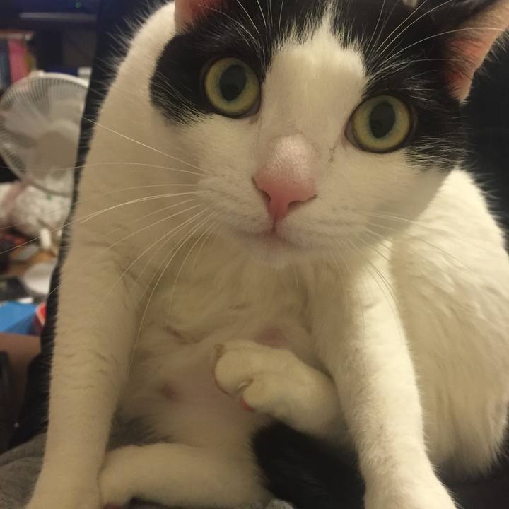 Ab707fc7 c3a9 435c 81fd 1d00b571ad62