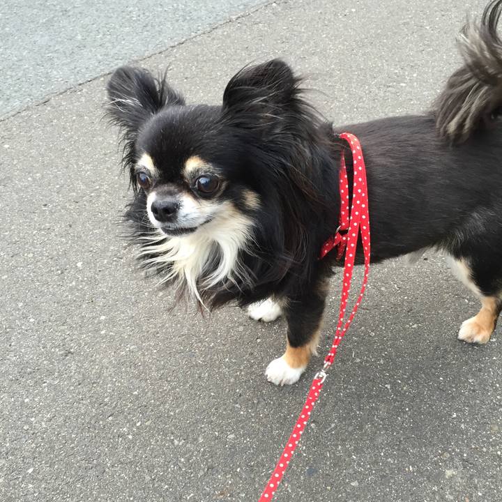 Ab7156ed f58d 4968 b8e5 232304fec1c1