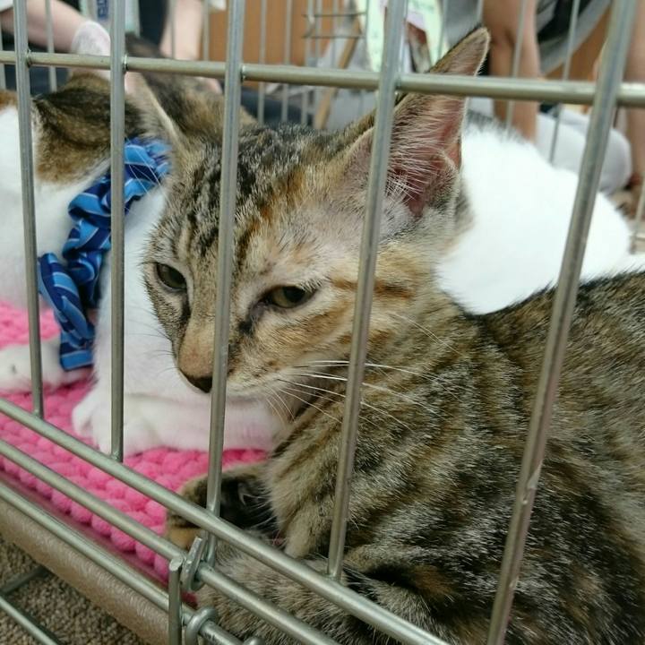 Ab71a100 e4cd 45e3 9aee eb5cb7463c79