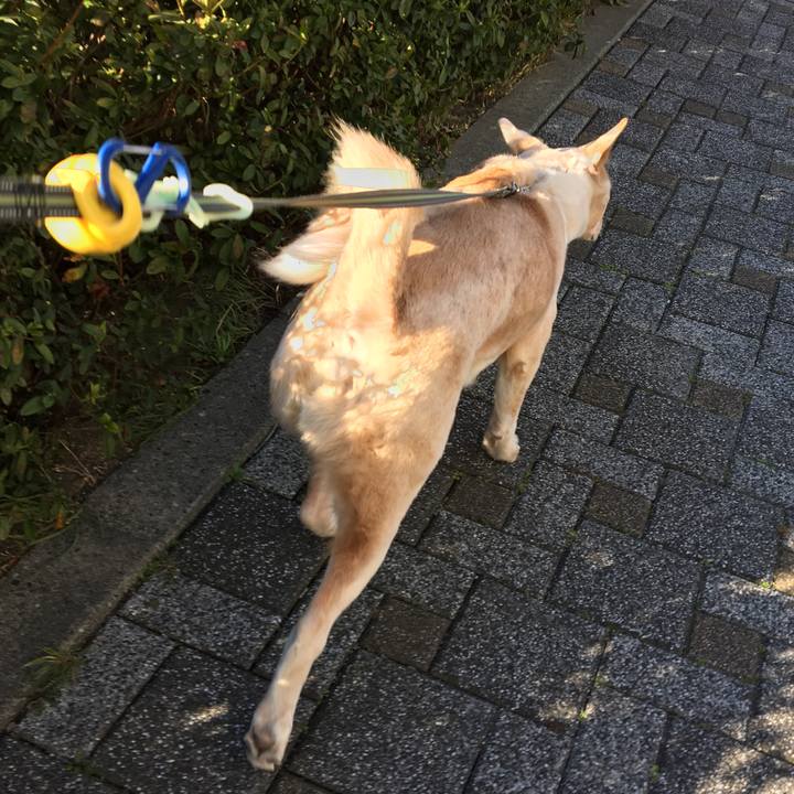 Ab724dba af54 453b b32d 925618c9125c