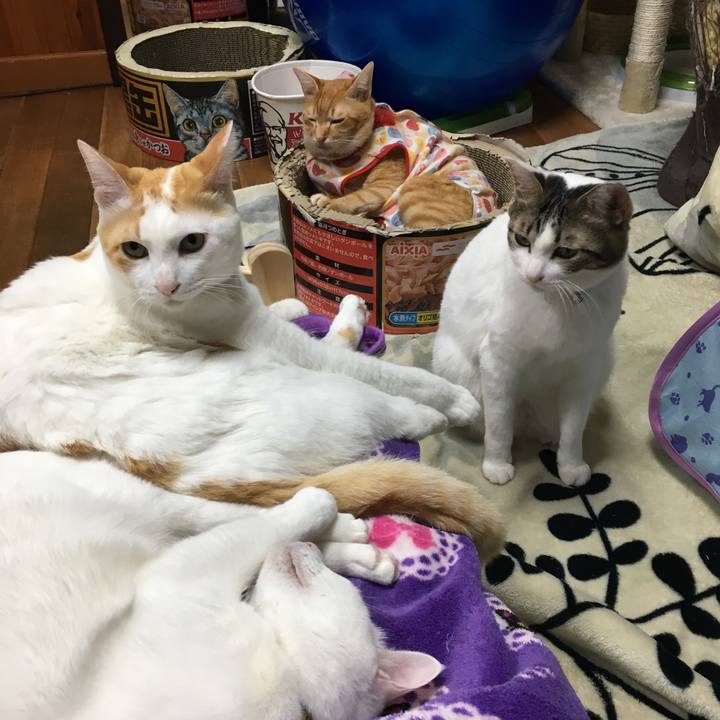 Ab727a08 90da 4720 b4a9 8756f07f90cc