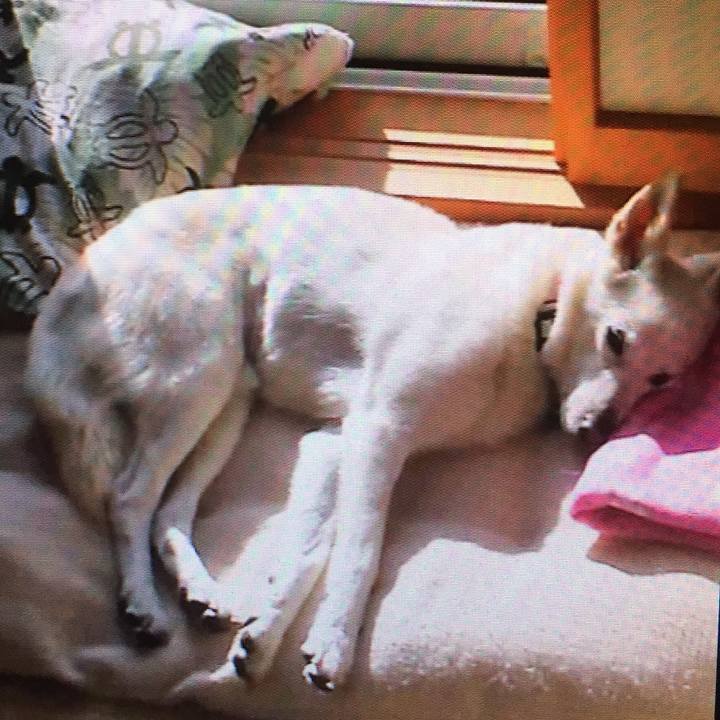 Ab7293be 46e3 44f3 af93 cf8018dd2c65