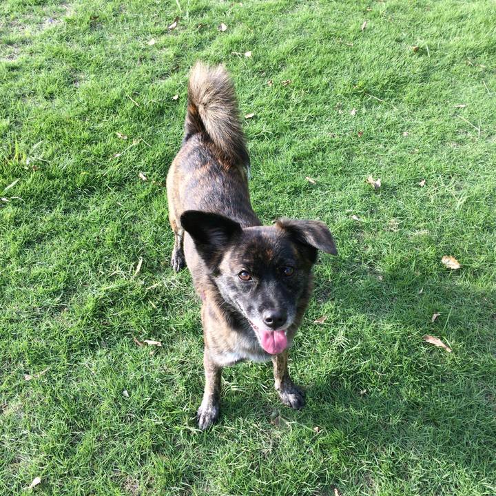 Ab72a07d 5037 4340 8ff5 36d309338ebf