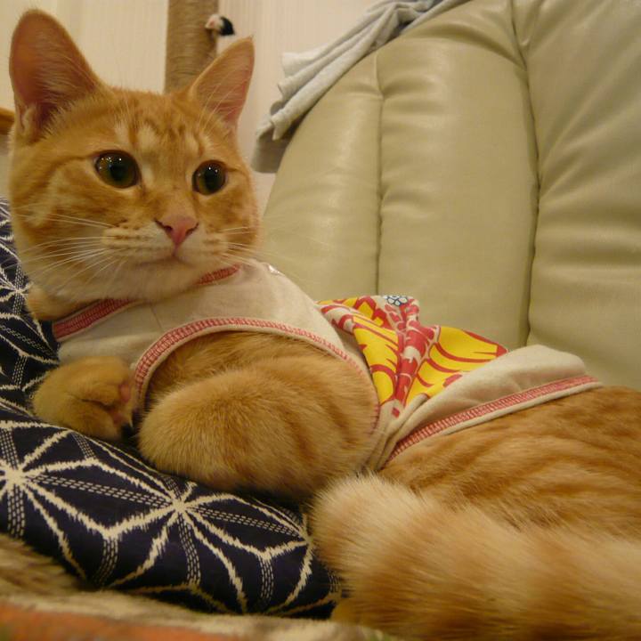 Ab72d682 cecf 452b a969 9f1a86590edc