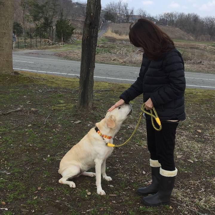 Ab72db63 5c32 46d8 94f7 f93b38131576