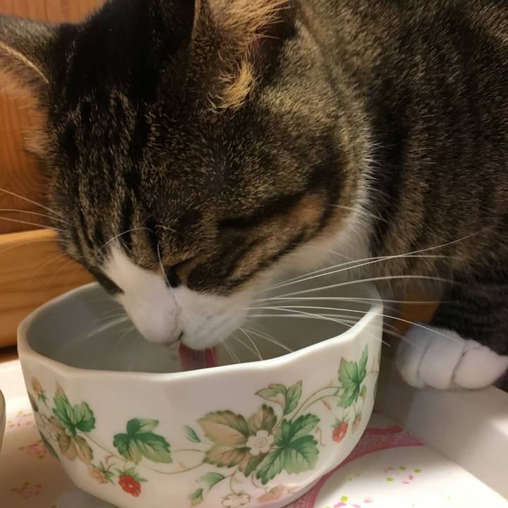 Ab731220 49f4 43ca 97de 4749b6931bf3