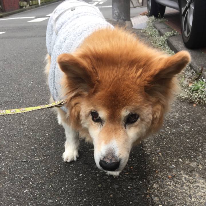 Ab736d9c c28a 469c 8067 998e31063ab2