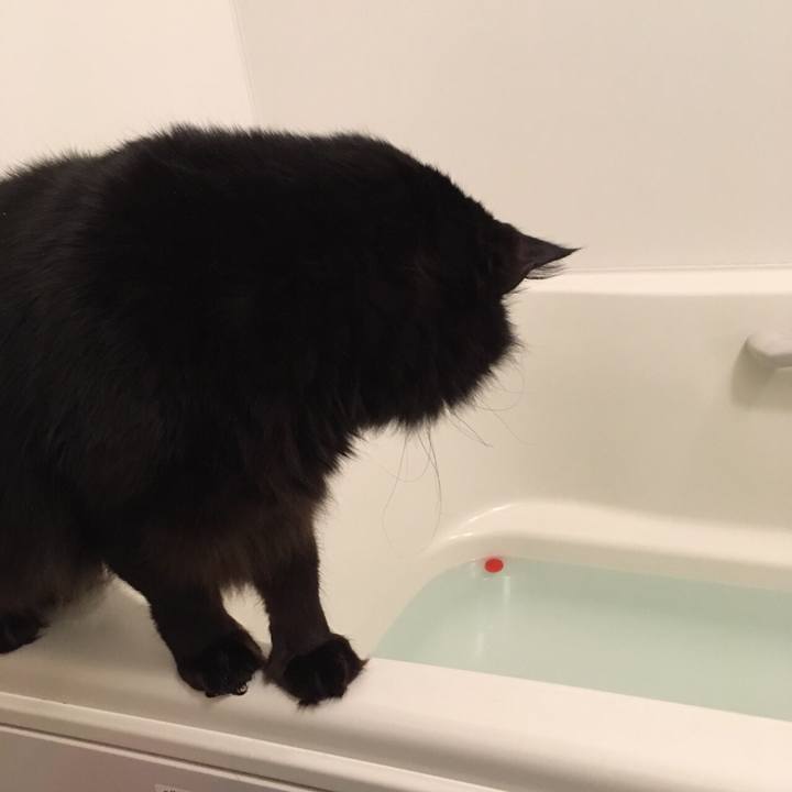 Ab73f23d 4e9d 48aa a292 b4ae6c72e109