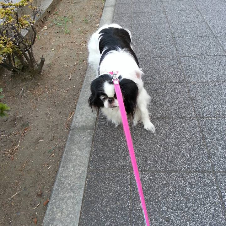 Ab749411 a63a 46e8 8d00 274fa1c3ef43