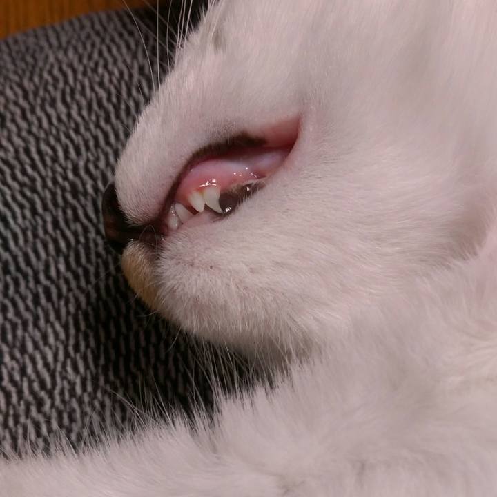 Ab74d088 47b3 4db9 af48 71486deec54a