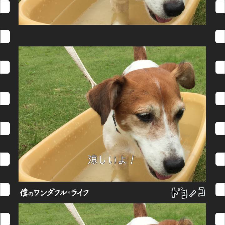 Ab74f398 b17f 432e a672 68f555e055c4