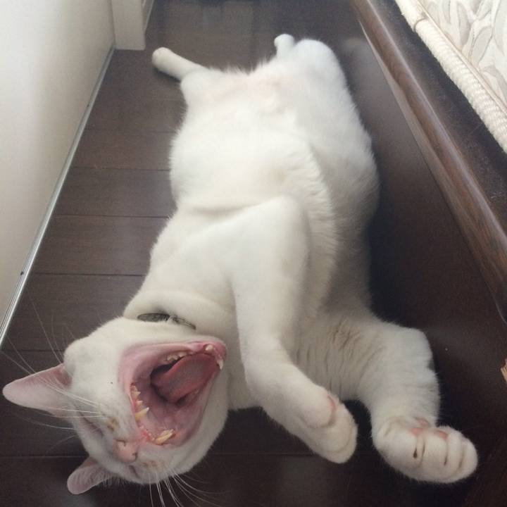 Ab75166b 17fc 4a79 9601 0e09d8a18322