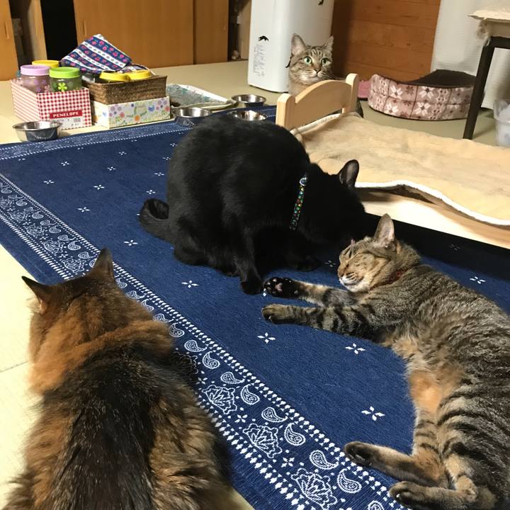 Ab7570d2 0f52 42bb ab51 f793c1f9b7a8