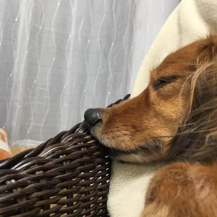 Ab757830 83a0 420e 8a7d f751c579168f