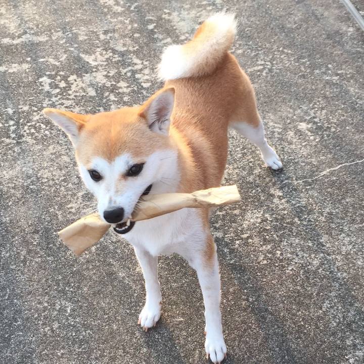 Ab759ba8 8af2 493f 805d 4ffdbf19badd