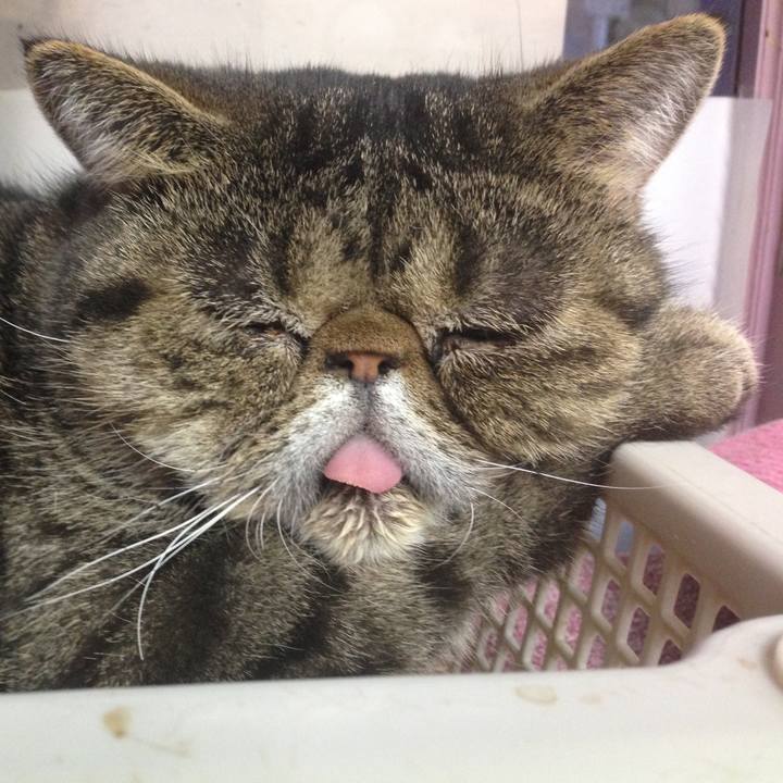 Ab75aaa0 ed96 48a6 9974 ad542fb5ff60