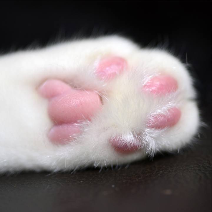 Ab75ada1 2d9d 4d42 80ae 6bd53bed672c