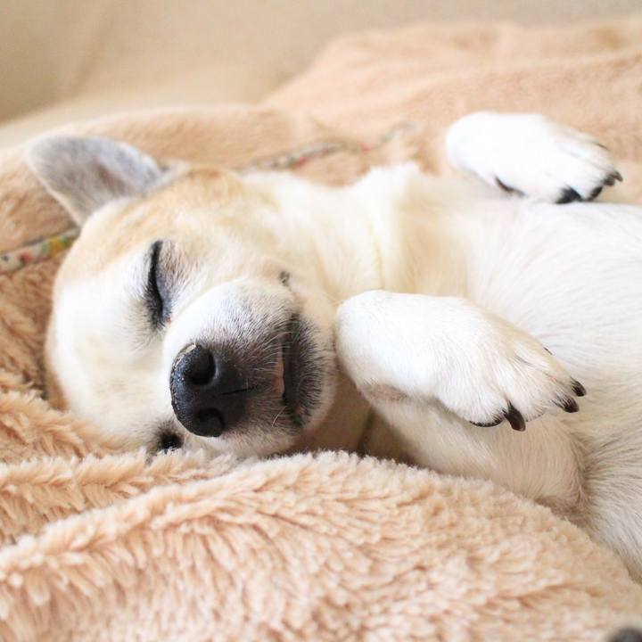 Ab75e436 3e27 4746 af9b 4efffe4536ff