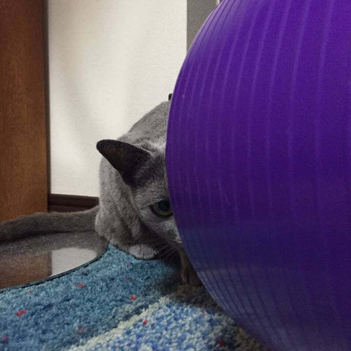 Ab75f6cd 627e 4aff 8900 2fe4359ad875